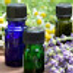 Cedar Hill Botanicals