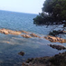 Dbora Reece