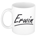 Erwin Kip
