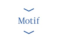 Motif Photos